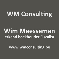 wm consulting